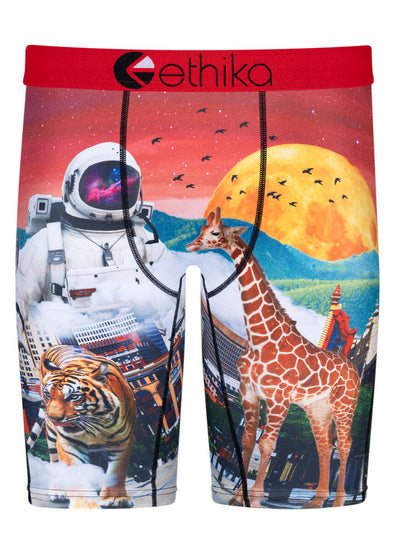 Ethika Astro Zoo Underwear