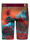 Ethika Forest Tiger Underwear