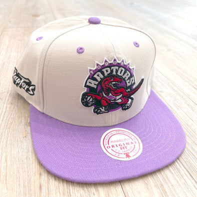 Mitchell & Ness NBA Sail 2 Tone Toronto Raptors Snapback Hat