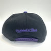 Mitchell & Ness NBA Rise Up Toronto Raptors Snapback Hat