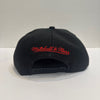 Mitchell & Ness NBA Winner Circle Toronto Raptors Snapback Hat