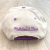 Mitchell & Ness NBA Sail 2 Tone Toronto Raptors Snapback Hat