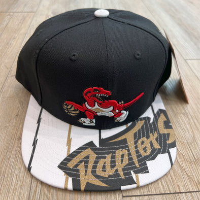 Mitchell & Ness Reload 3.0 Toronto Raptors Snapback Hat