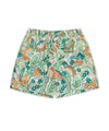 Reason Clothing Tropical Vibes Twill Shorts - UPSTREAMERS